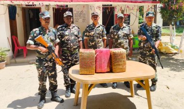 नरकटियागंज में एसएसबी की बड़ी कार्रवाई, 28 किलो 300 ग्राम गांजा बरामद