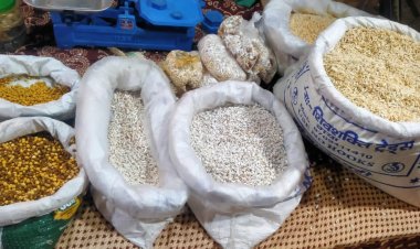 कानू समाज में दिवाली का विशेष महत्व — भूंजा से होती है पूजा अन्न देवता की आराधना और समृद्धि का पर्व