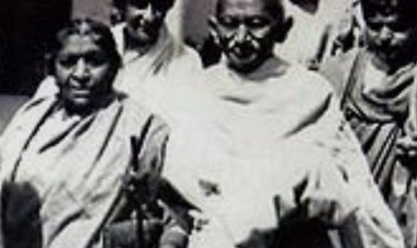 सरोजनी नायडू का संपूर्ण जीवन भारतीय राजनीति को समर्पित रहा था