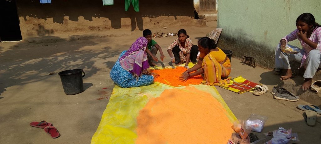 प्राकृतिक गुलाल के रूप में स्वास्थ्य सुरक्षा पर्यावरण संरक्षण और महिला आत्मनिर्भरता का सुंदर संगम प्रस्तुत कर रहा है पलास मार्ट
